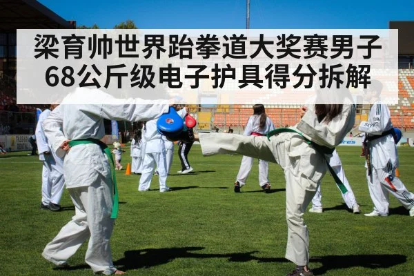 梁育帅世界跆拳道大奖赛男子68公斤级电子护具得分拆解